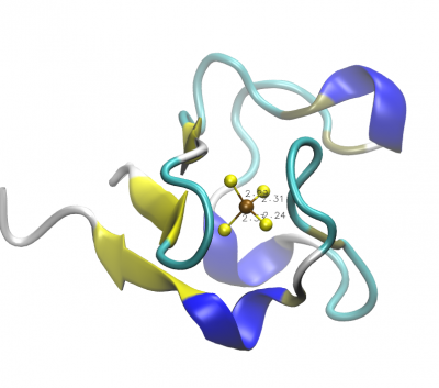 Representation of rubredoxin's secondary structure and active site generated by VMD.