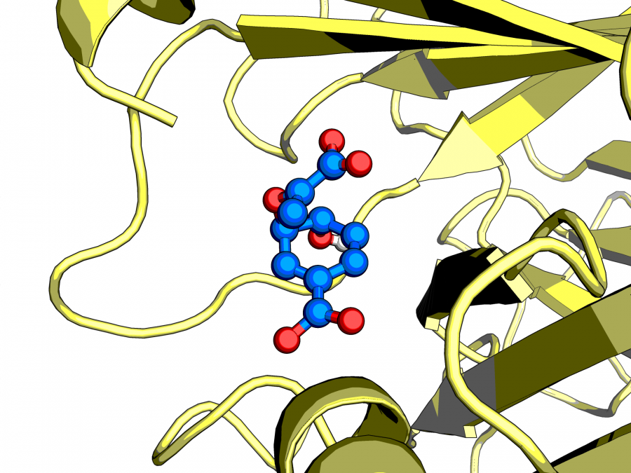 substrate_in_protein.png